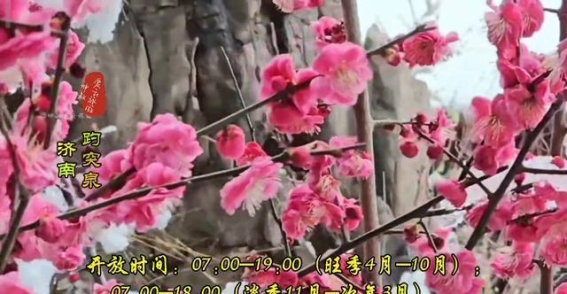 济南趵突泉：泉水悠悠，历史绵长