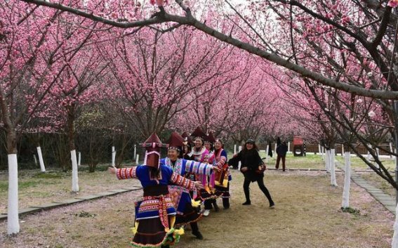 清镇梯青塔湿地公园春意盎然 市民共享花海美景