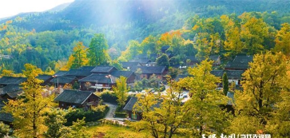 让文化根脉生长于乡土之中，乡愁与村史为乡村振兴注入新动力