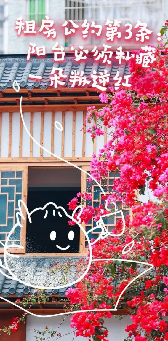 火红龙岗：创新与梦想交织的热土