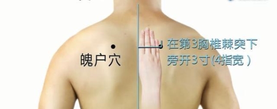 魄户穴：背部的肺部调理与肩背舒缓“护肺小卫士”
