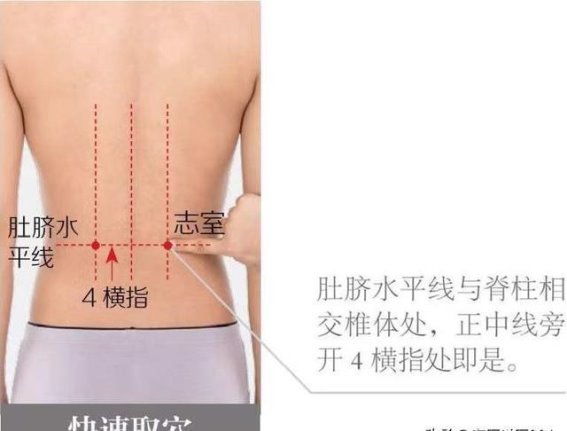 志室穴：腰痛与肾脏不适的调理法宝