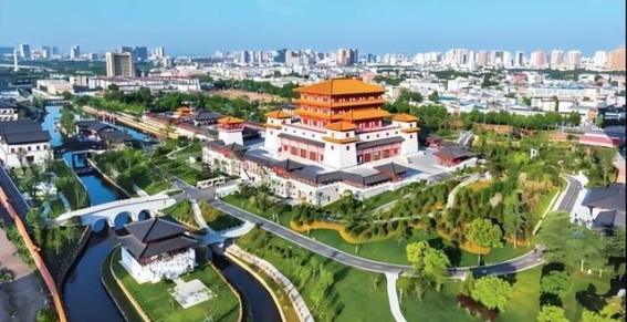 南阳：中医药振兴的典范之路