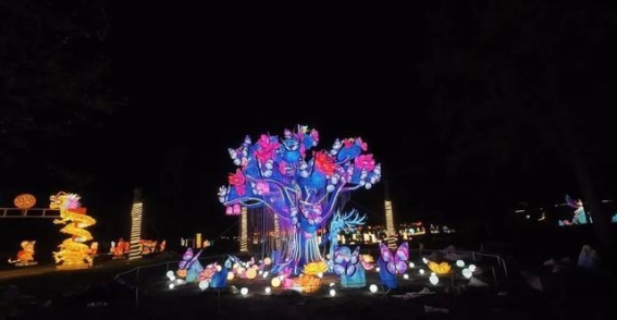 秦淮灯会在法国赛雷点亮文化交流新篇章