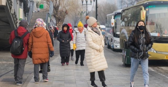 哈尔滨的冬天：冰雪与热情交织的城市故事