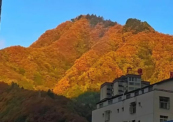 大巴山的历史与自然之旅