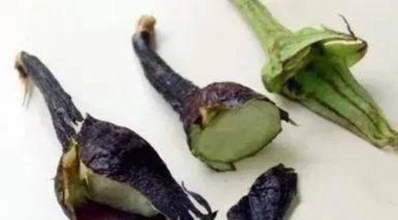 精神分裂症治疗的另类辅助：茄子蒂的神奇疗效