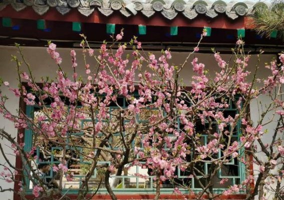 光影交错中的2024：烟火与温情共舞