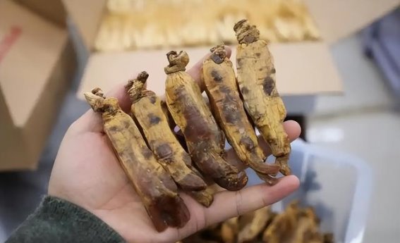 朝鲜的奇特规定：你想不到的禁忌与旅行注意事项
