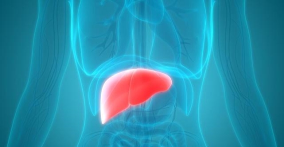 肝脏不好的人，尽量少喝这4种茶叶，别给肝脏添负担