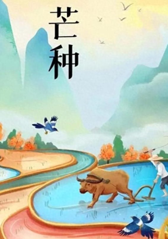 芒种节气到来，提醒男人：远离四大禁忌，谨慎两类食物