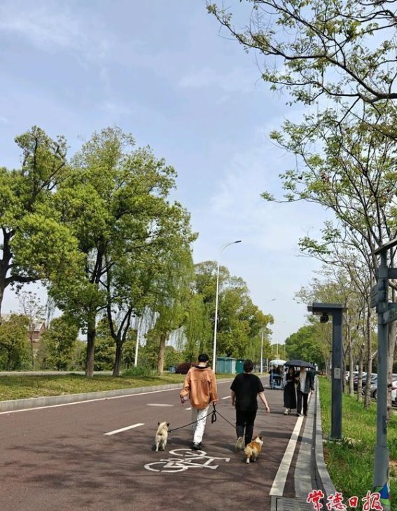 文明旅游让柳叶湖清明节更加美丽
