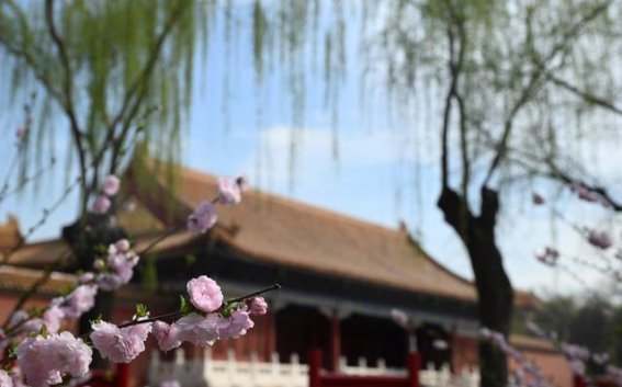 繁花似锦，春日的细语