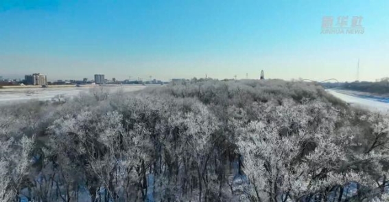 黑龙江黑河：冰晶雾凇，冬日盛景