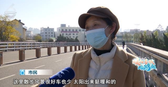 大观河畔朝云桥，冬日红嘴鸥的美丽邂逅