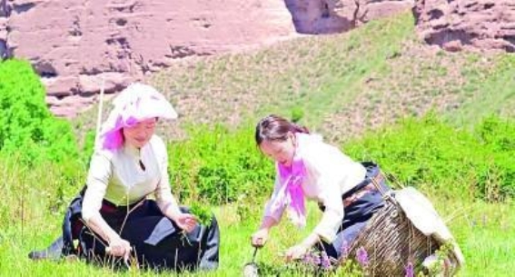 坎布拉世界地质公园：亿年地质沉淀与文化交织的自然奇迹