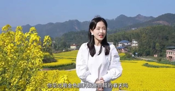 铜梁油菜花海：一片金黄的春日诗篇