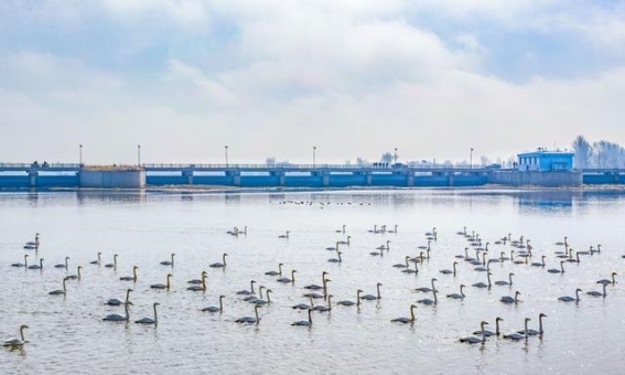 西辽河的重生：27年后的复流