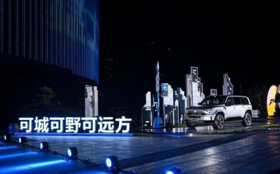 2025年7月中国汽车市场发展动态分析
