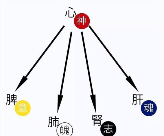 中医视角下的精神分裂症：从肺魄丢失到肝魂不稳的调理