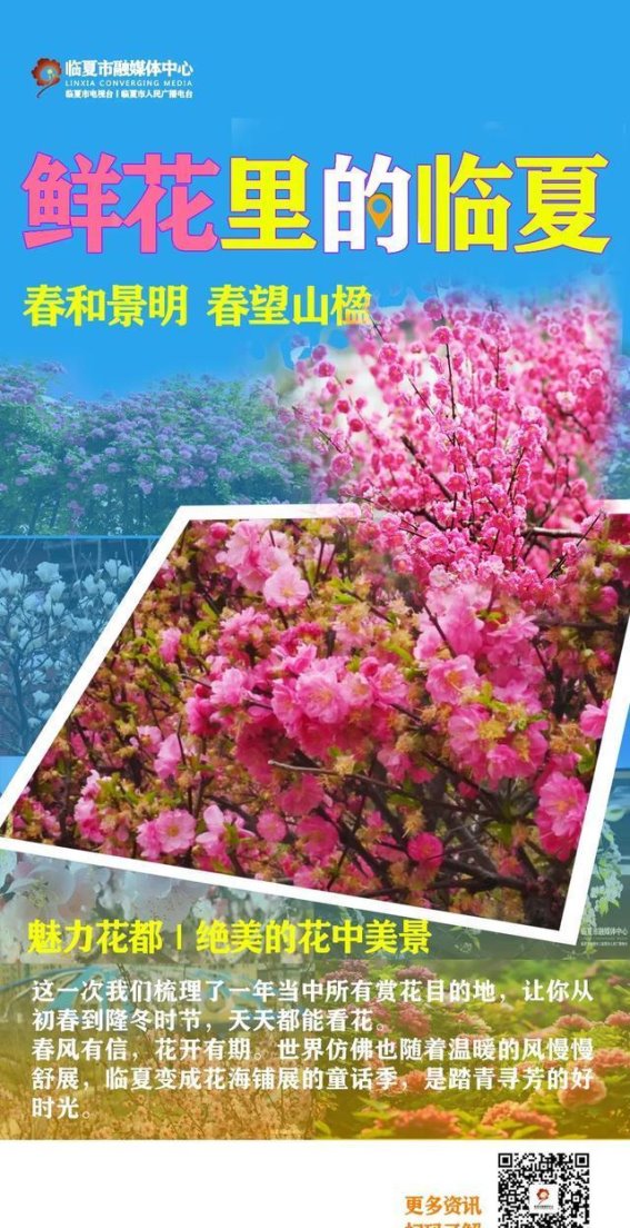 临夏春日花海：在花香中邂逅春天