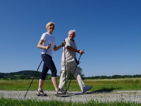痔疮背后的生活隐患：五个容易被忽视的因素