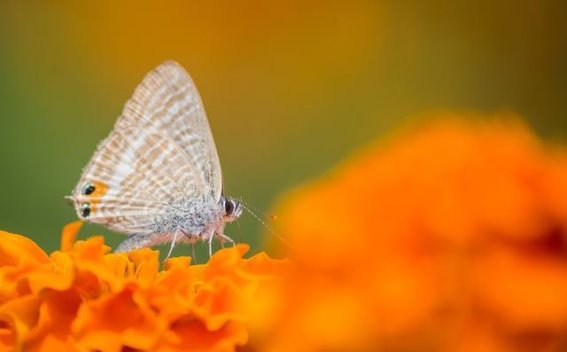 秋日生活：细品时光的柔情与丰盈