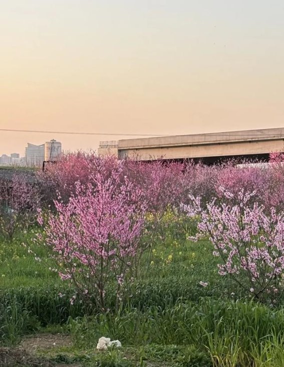 成都：千年韵味与现代风华的交响