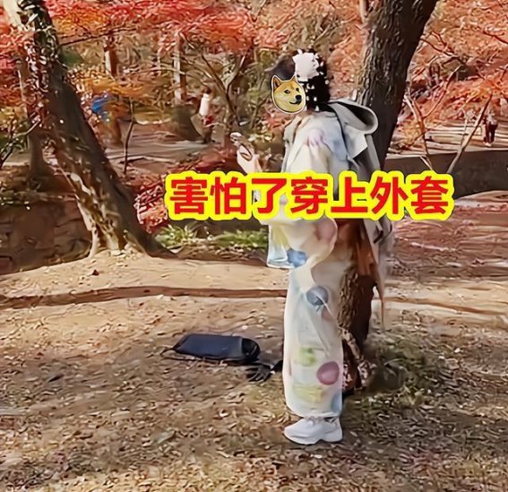 穿衣自由的边界——南京中山植物园“和服事件”引发的思考