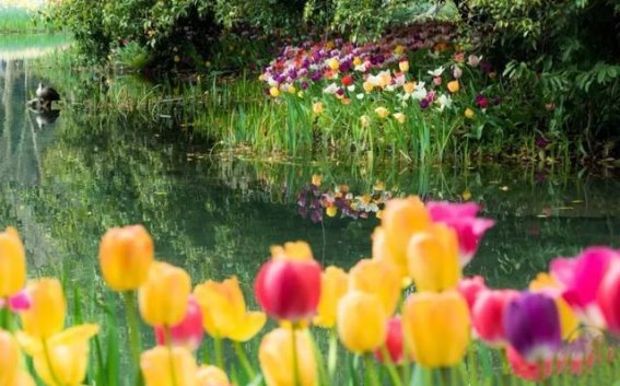 春日光影下的城市与自然交响