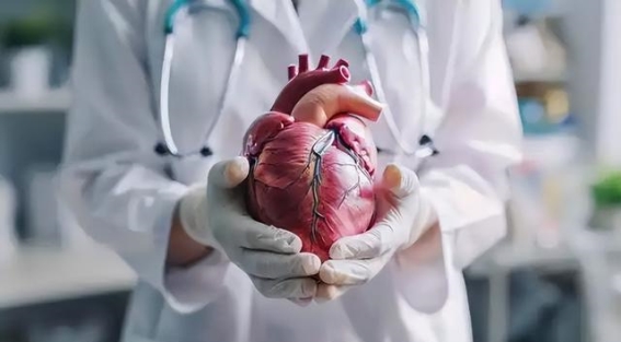 让心脏停跳，再让它重生的奇迹：现代医学背后的智慧与技术