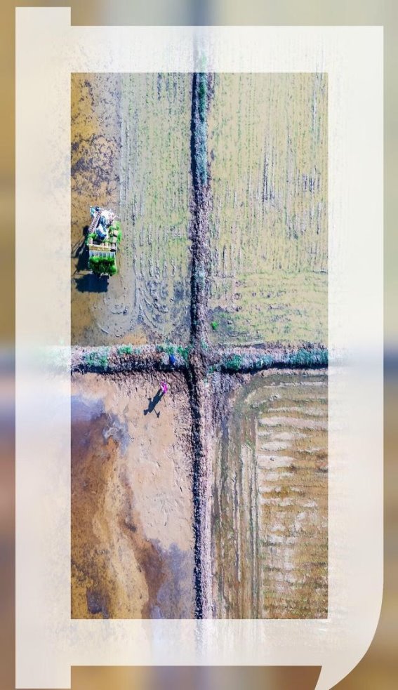 滇池南岸：初夏景致如诗，字里藏景