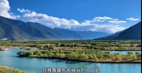 千年桃树的血泪之谜