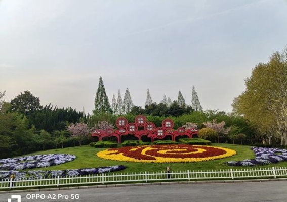 退休后自驾2025季——上海之行与旅行记录