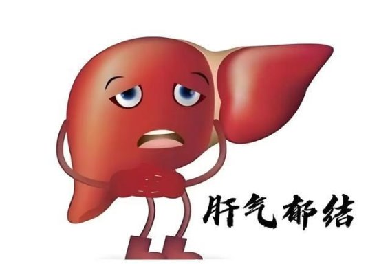 肝郁为何导致便秘与腹泻交替出现及其调理方法