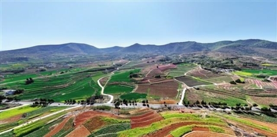 春意盎然 南阳的山水与田园