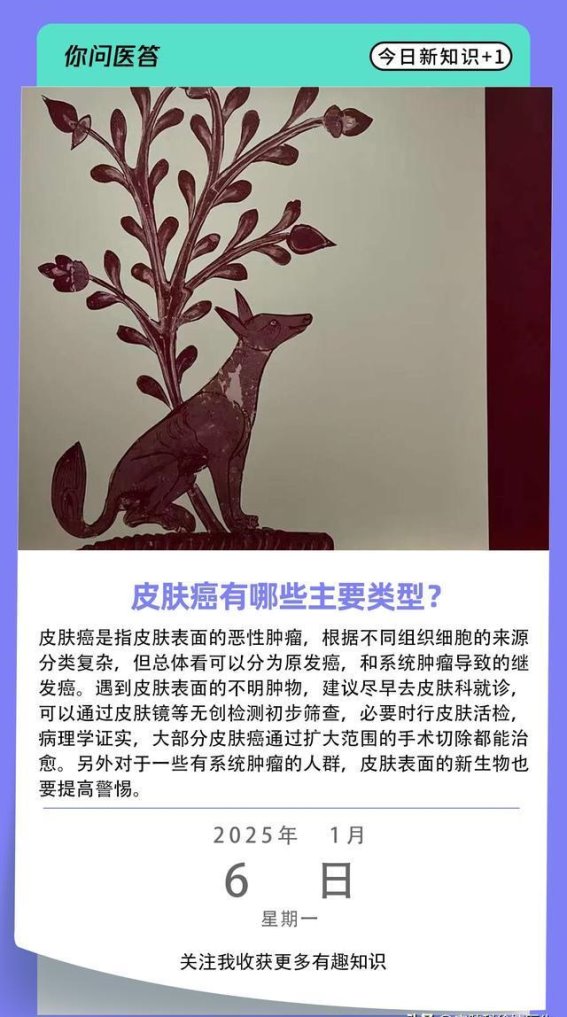 皮肤癌的主要类型与治疗方法