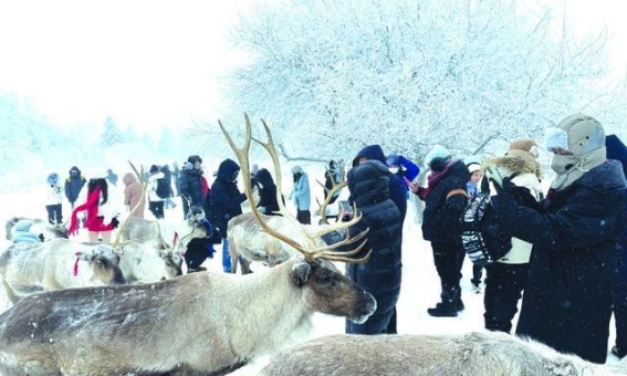 探索吉林延边的冰雪魅力与朝鲜族风情