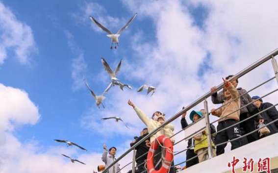 云南：380万旅居者背后的机遇与挑战