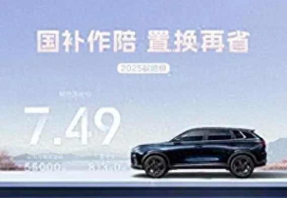 风神6.18皓极促销活动全解析