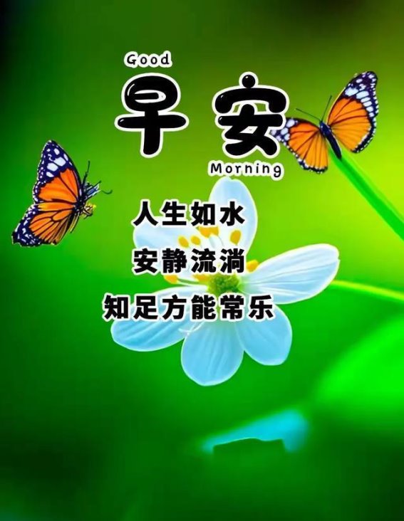 解决问题的速度决定终点的速度