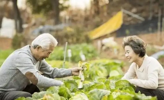 50岁后如何健康长寿？哈佛11万人研究揭示的五大关键习惯