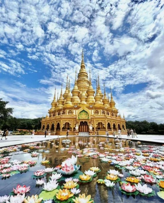 在西双版纳的季风中感悟自然与生活