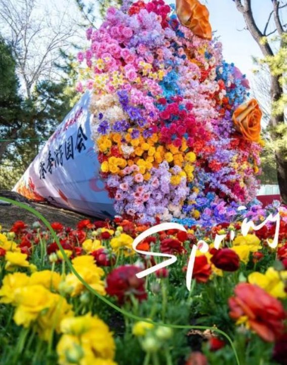绿色梦想：朝阳区打造花园城市的美丽蓝图