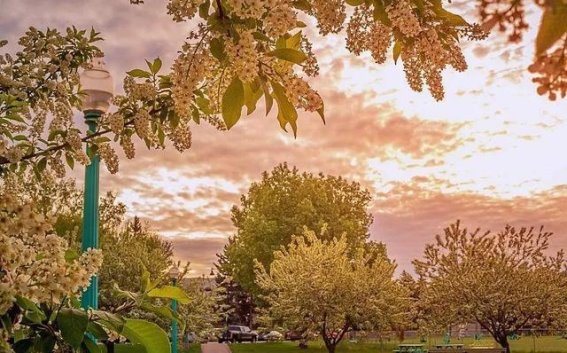 春天的黎明与大自然的觉醒