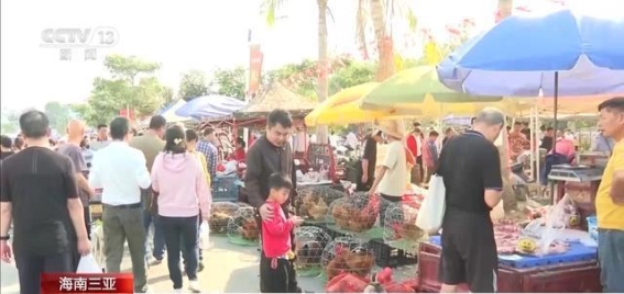 非遗文化的春节韵味：从三亚年味大集到儿童画展的传承与创新