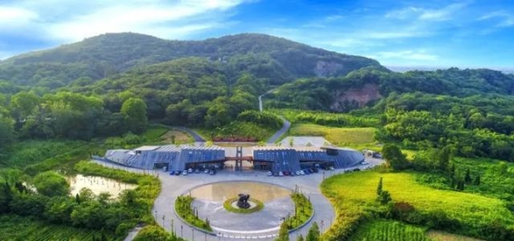 遇见月塘：春日环湖跑的自然之旅