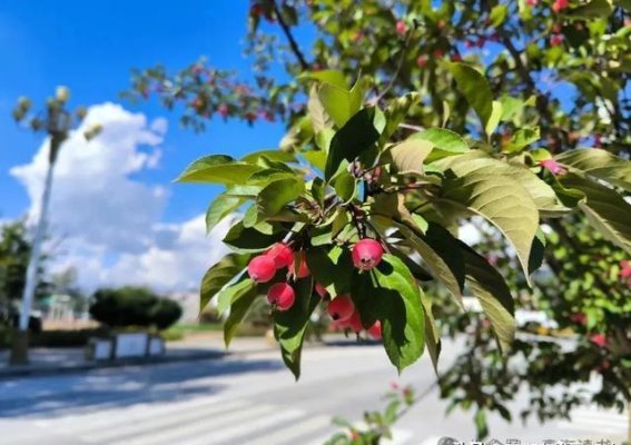 抖音上流行的“淋巴按摩”，真的有效吗？