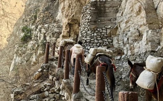 科技引领下的古路村：从悬崖之上走向未来