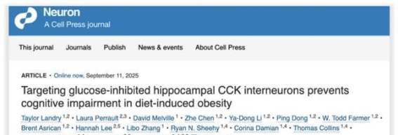 假期高脂饮食后记忆力减退的真相与应对措施
